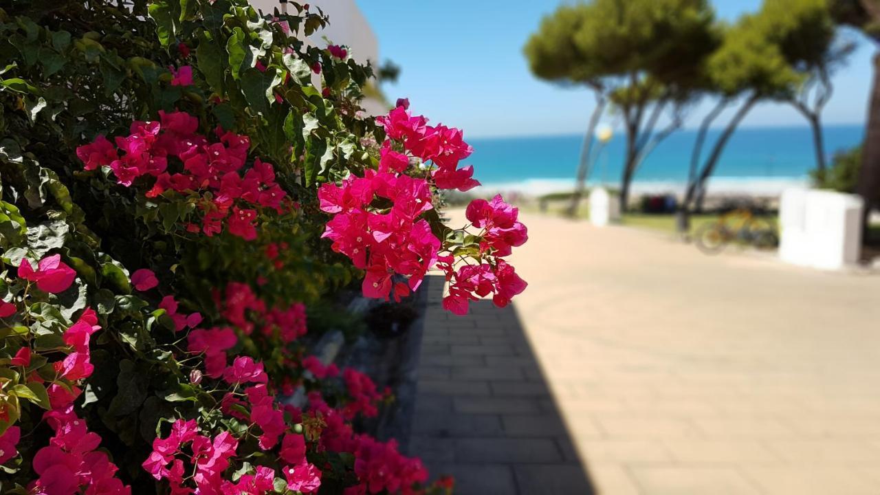 Apartamentos El Arrecife Conil De La Frontera Exterior foto